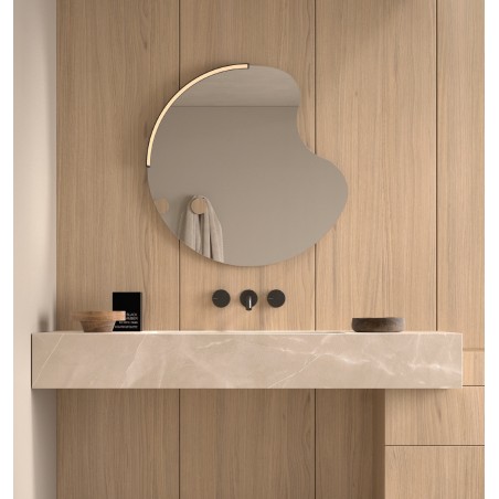 Specchio dal Design Organico con Applique LED per Bagno